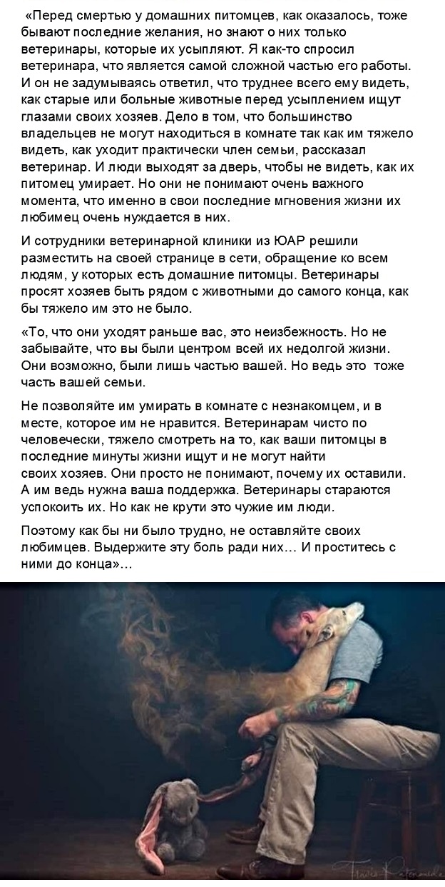 Картинки с надписями, истории и анекдоты 08.10.19