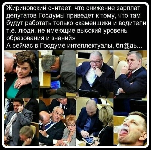 Парижский зоопарк представил новый организм — это «слизь» без мозга с 720 полами и способностью к самоисцелению