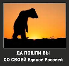 Доброволец России