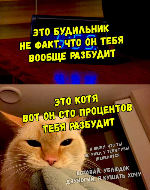 Чуток картинок 11.05.20