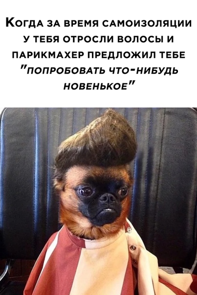 Немного картинок для настроения 15.05.20