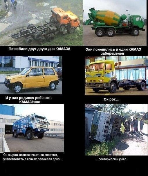 Рождение детёныша белазиста