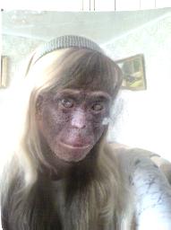 Отжабьте меня пожалуйста