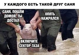Немного картинок
