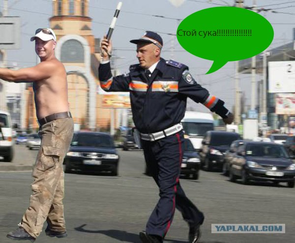 Фотожаба: На пеньке