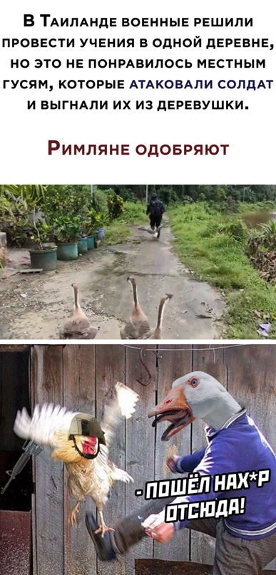 Весёлый полтишок 16.02