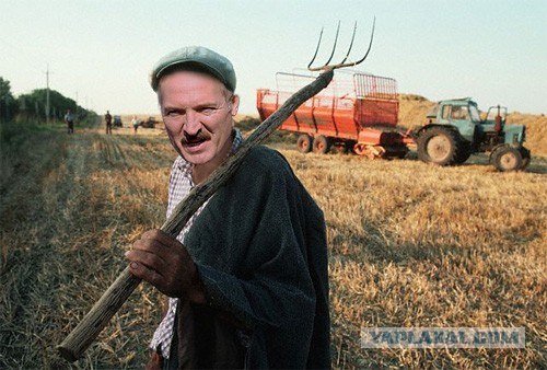 Песня белорусского рубля на допсессии (Б. Гребенщи