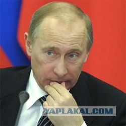 В океане засняли странное существо