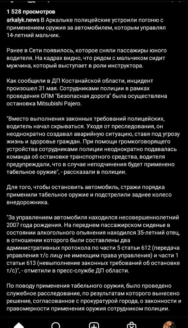 Глупость и отвага, или синька