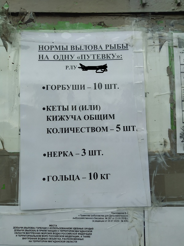 Медведь напал на группу туристов