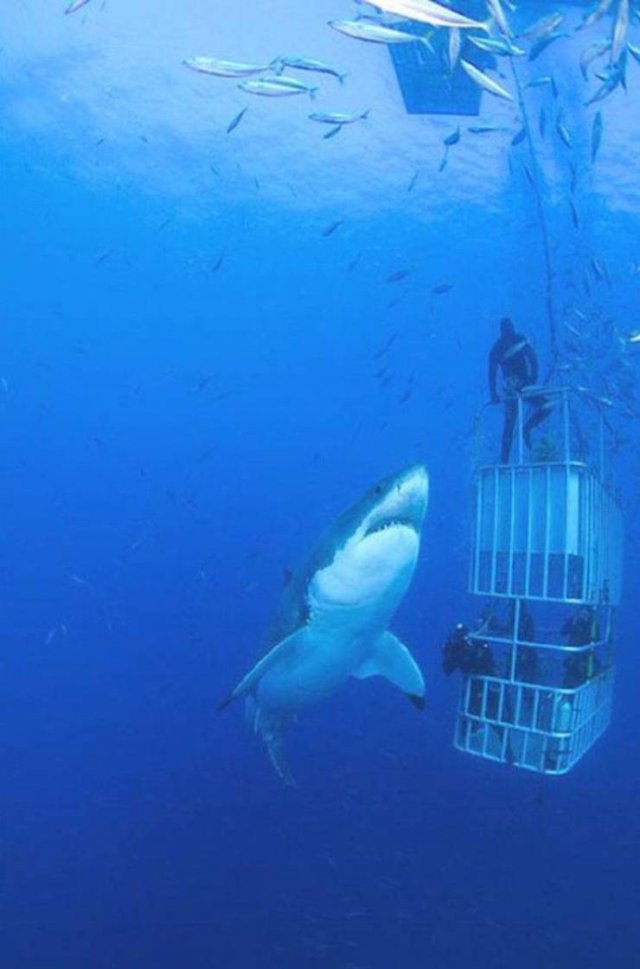 Картинки и мемы для настроения 05.08.2021