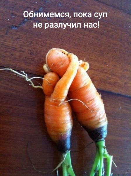 Картинки и мемы для настроения 16.08.2021