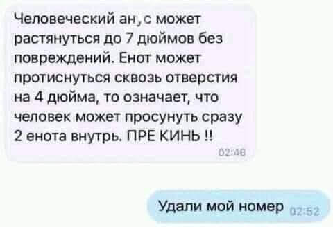Всяческие картинки 02.11.2021