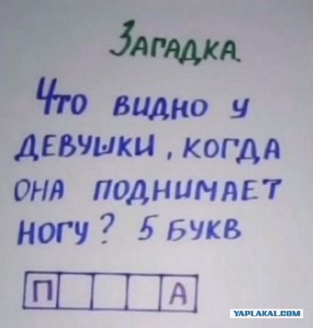 Утренняя подборка картинок и мемов - 4