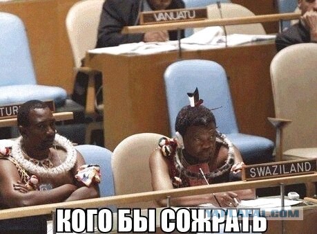 Так себе картинки 12.02.22