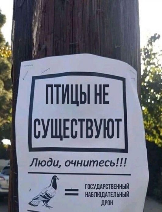 Подборка картинок с надписями