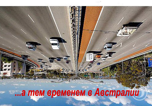 Путешествие в Новую Зеландию!