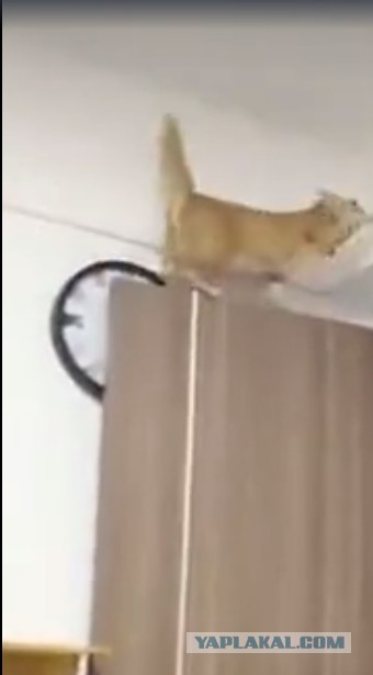 Просто психанул что-то