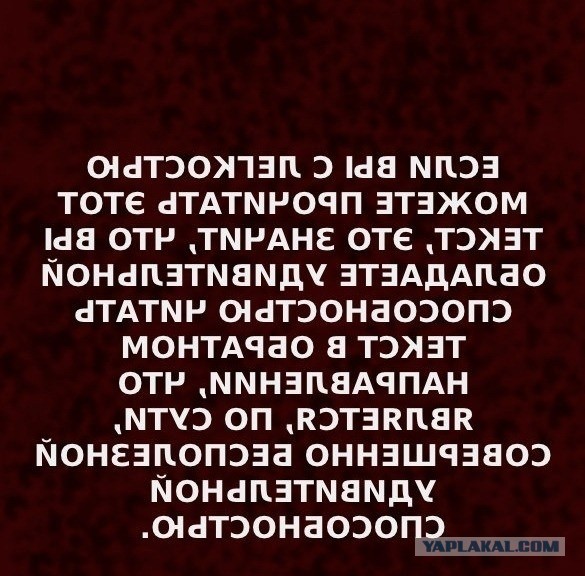Так себе картинки 30.05.22