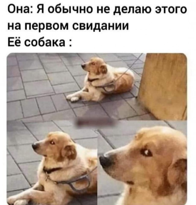 Картинки и мемы для настроения. Выходные близко...