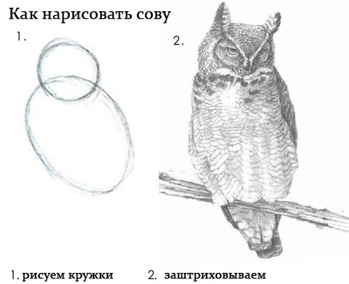 Хобби