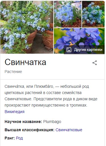 "Пид**ас"