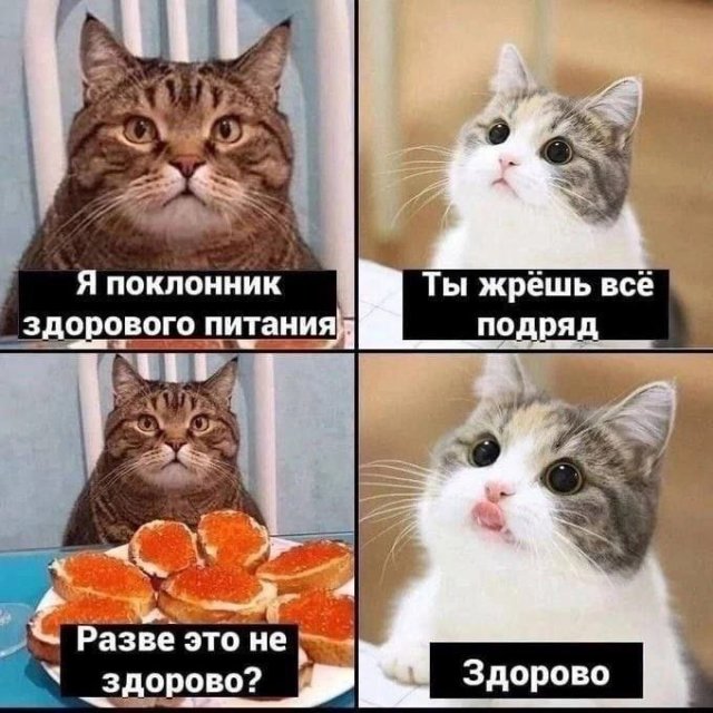 Картинки и мемы, всяко разно - 183