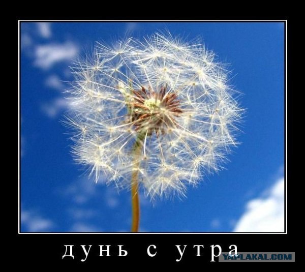 Подборка демотиваторов