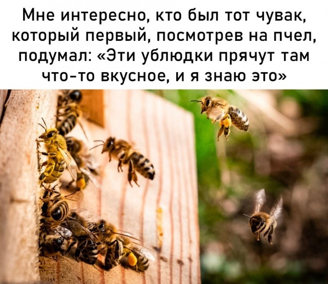 Так себе картинки 14.09.23