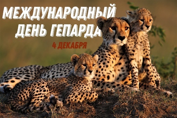 Физика и жизнь