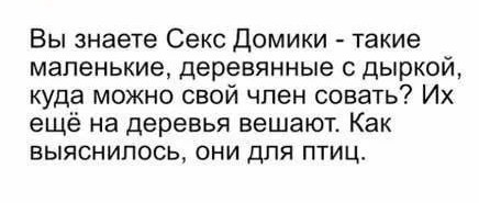 Пошло-тупые картинки