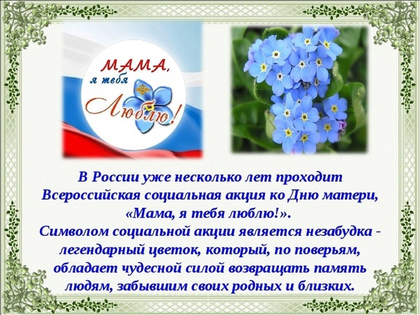 Незабудка - против СВО?.. Ах...еть!