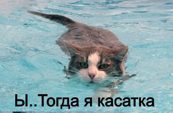 Хвастунишки