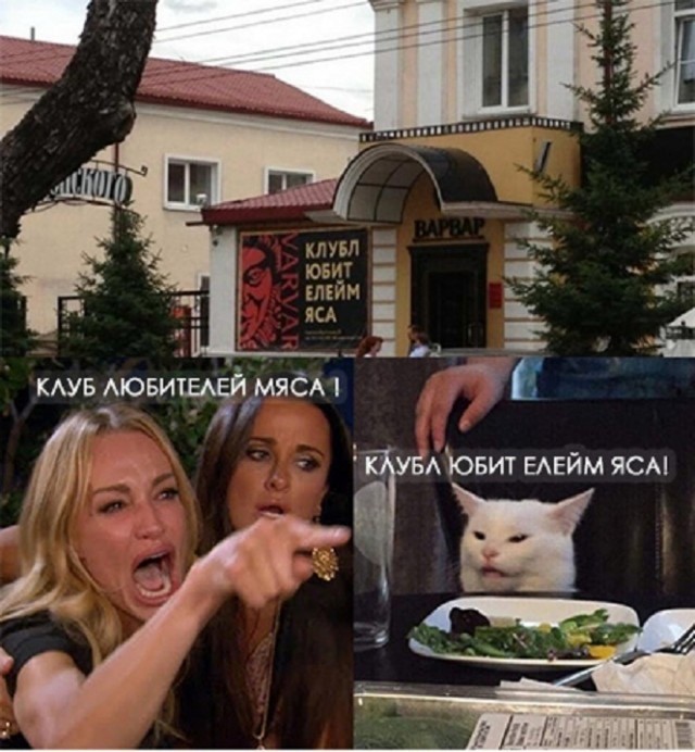 Знаменитый кот