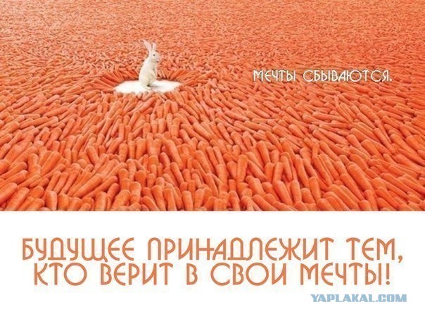 Почему мужчины живут меньше женщин
