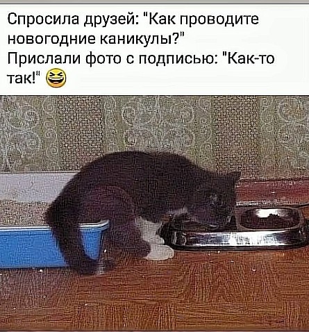 Шерстяные пидо.... братья наши меньшие