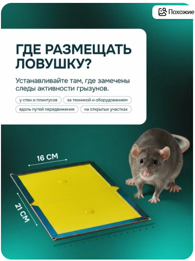 Мышка