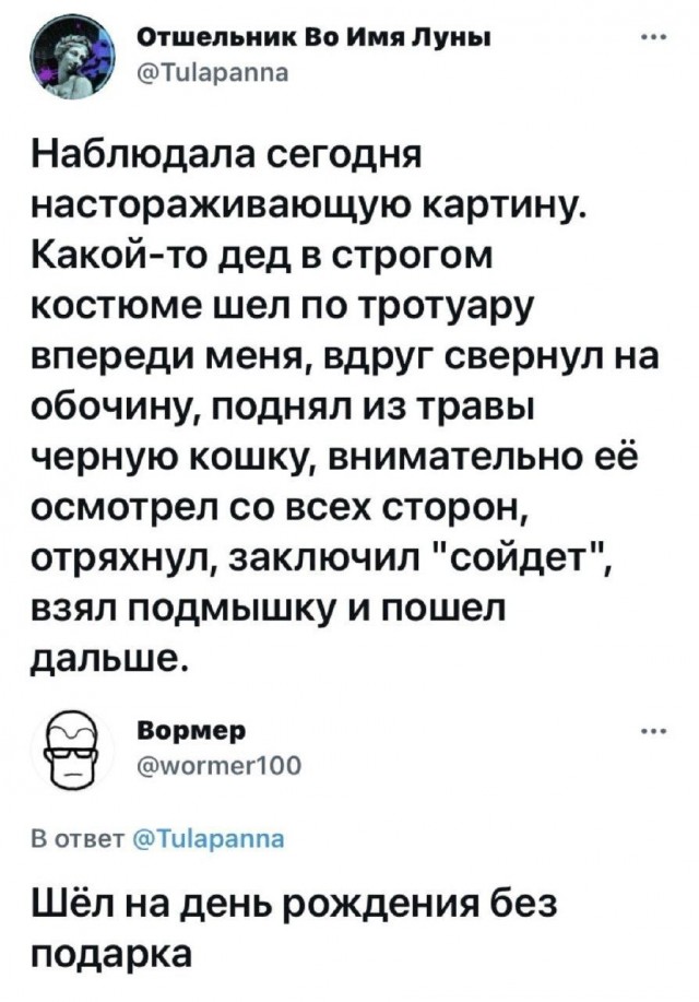 Россия возглавила мировой рейтинг самых «кошачьих» стран
