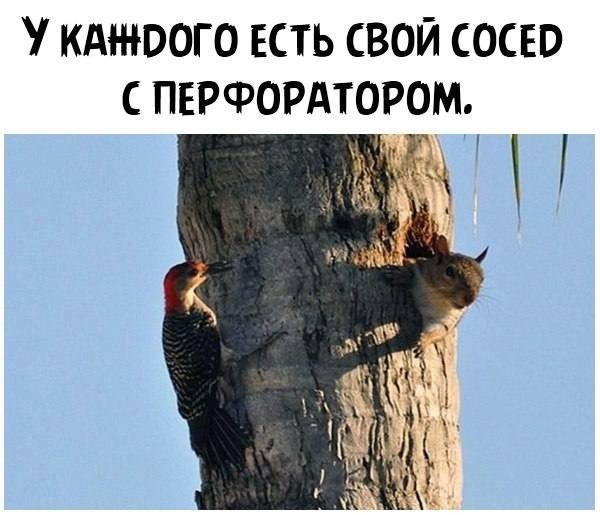 Вторника картинки