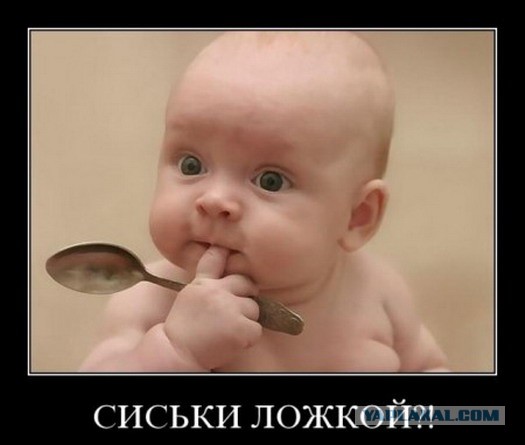 Сиськи