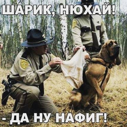Найдётся всё