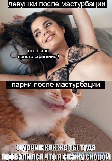 Картинки для деградации 201 (разной степени свежести)
