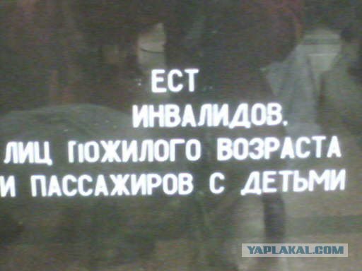 Смешные картинки, снятые на мобильник