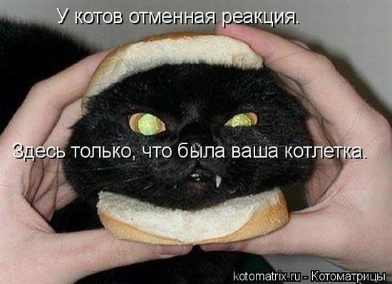 Не про олимпиаду
