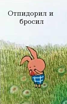 В деревне медведь заглянул в гости
