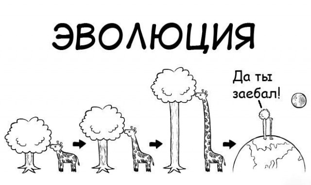 10 простых вопросов, на которые сложно ответить