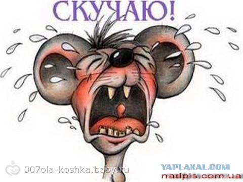 Чёрт, чёрт, чёрт!