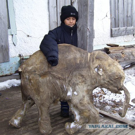 Пост ради Юки.