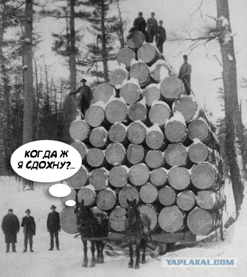 Две лошадиные силы..