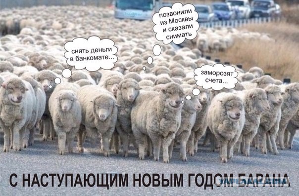 Паника в селе